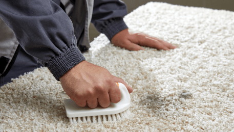 Professional Rug Cleaning Diggers Rest